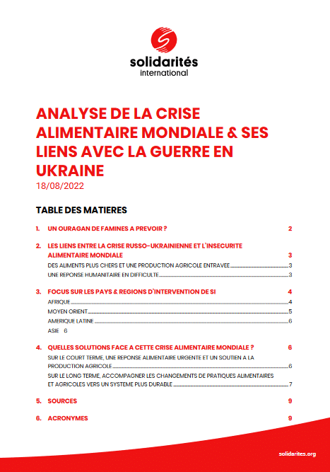 Analyse de la crise alimentaire mondiale et ses liens avec la guerre en Ukraine